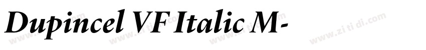 Dupincel VF Italic M字体转换